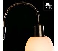 Торшер с подсветкой Arte Lamp Duetto A9569PN-2AB