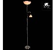 Торшер с подсветкой Arte Lamp Duetto A9569PN-2SS