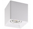 Накладной светильник Denkirs DK3020WW DK3030-WH
