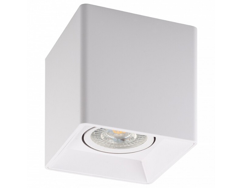 Накладной светильник Denkirs DK3020WW DK3030-WH