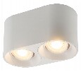 Накладной светильник Denkirs DK3020WW DK3036-WH