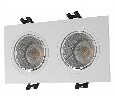 Встраиваемый светильник Denkirs DK3022 DK3072-WH+CH