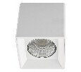 Накладной светильник Denkirs DK3030 DK3080-WH+CH
