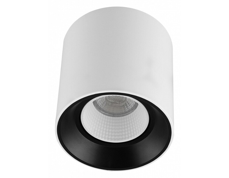 Накладной светильник Denkirs DK3040 DK3090-WB+WH