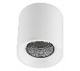Накладной светильник Denkirs DK3040 DK3090-WH+CH