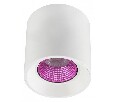 Накладной светильник Denkirs DK3020WPI DK3090-WH+PI