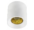 Накладной светильник Denkirs DK3020WYE DK3090-WH+YE