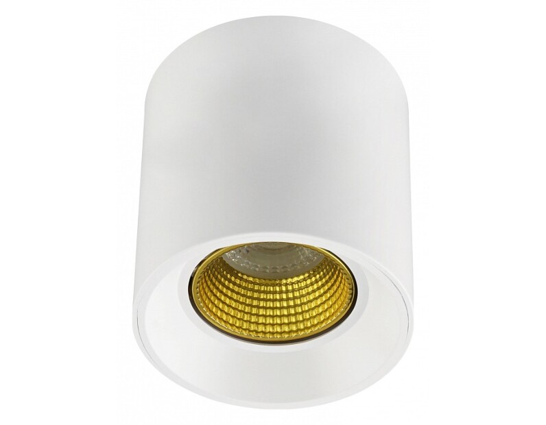 Накладной светильник Denkirs DK3020WYE DK3090-WH+YE