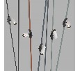 Светильник на штанге Denkirs BELTY SPOT DK5546-BW+BK