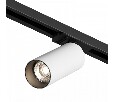 Светильник на штанге Denkirs Scope DK6060-BW+BK
