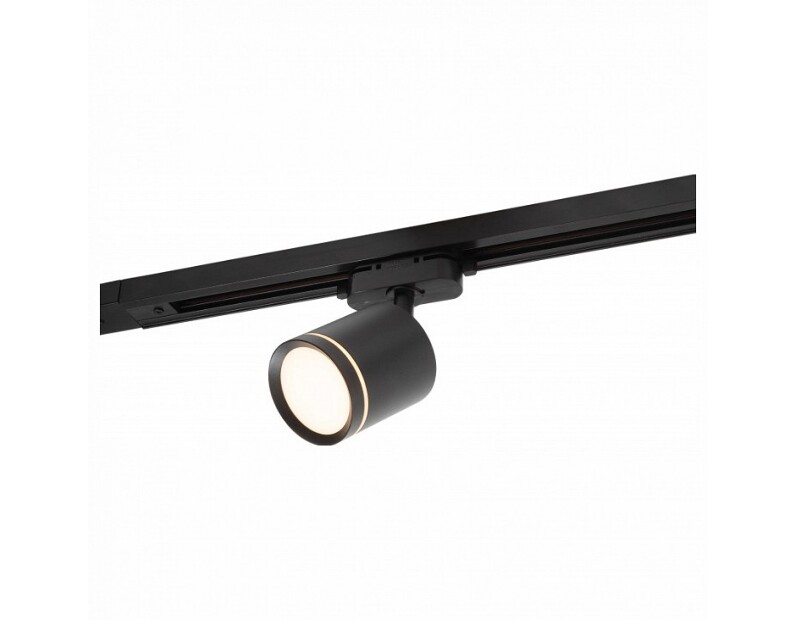Светильник на штанге Denkirs DK640 DK6401-BK