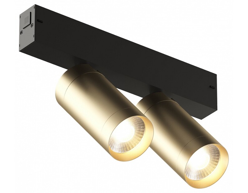 Светильник на штанге Denkirs Smart DK8012-BG
