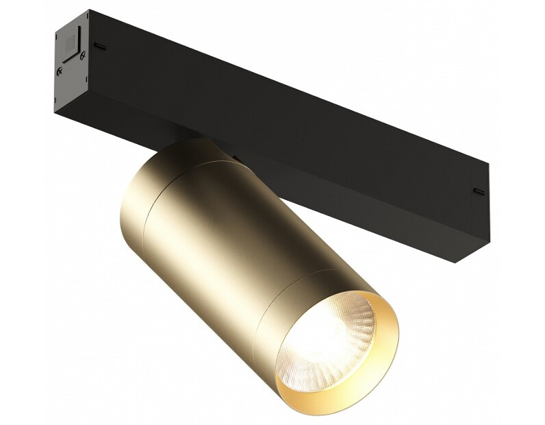 Светильник на штанге Denkirs Smart DK8020-BG