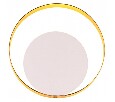 Накладной светильник Odeon Light Mondy 3899/7WW