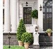 Накладной светильник Odeon Light Sation 4045/1C