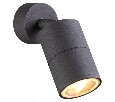 Накладной светильник Odeon Light Corsus 4207/1C