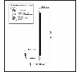 Настольная лампа декоративная Odeon Light Fillini 4335/14TL