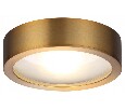 Накладной светильник Odeon Light Reus 4342/7CL