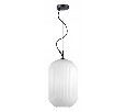 Подвесной светильник Odeon Light Roofi 4752/1