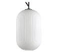 Подвесной светильник Odeon Light Roofi 4752/1