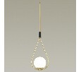 Подвесной светильник Odeon Light Flari 4810/1
