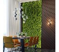 Подвесной светильник Odeon Light Tovi 4818/6