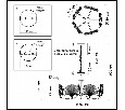 Подвесная люстра Odeon Light Ventaglio 4870/5