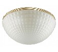 Накладной светильник Odeon Light Malaga 4936/4C
