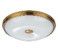 Накладной светильник Odeon Light Pelow 4956/4