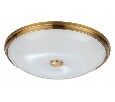 Накладной светильник Odeon Light Pelow 4956/5