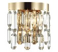 Накладной светильник Odeon Light Dakisa 4986/2W