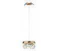 Подвесной светильник Odeon Light Fivre 5032/6L