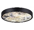 Накладной светильник Odeon Light Bergi 5064/24L