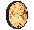 Накладной светильник Odeon Light Bergi 5064/30L