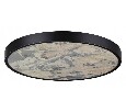 Накладной светильник Odeon Light Bergi 5064/50L
