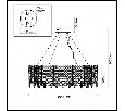 Подвесная люстра Odeon Light Rolta 5074/14