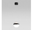 Подвесной светильник Odeon Light Roni 5075/12L