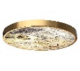 Накладной светильник Odeon Light Bergi 5079/50L