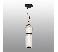 Подвесной светильник Odeon Light Jam 5409/20L