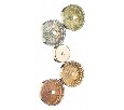 Бра Odeon Light Caramella 5412/25WL