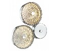 Бра Odeon Light Caramella 1 5416/14WL