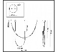Подвесной светильник Odeon Light Monella 6639/24CL