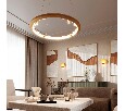 Подвесной светильник Odeon Light Cayon 7002/55L