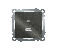 Розетка 2-местная USB + type C (механизм), 250В, 3А, max 20W, серия Катрин, графит, GLS10-7116-06