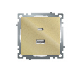 Розетка 2-местная USB + type C (механизм), 250В, 3А, max 20W, STEKKER, GLS10-7116-08, серия Катрин, золото