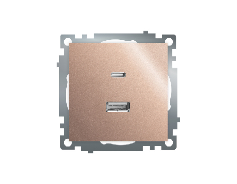 Розетка 2-местная USB + type C (механизм), STEKKER GLS10-7116-02, 250B, 3A, max 20W, серия Катрин, шампань