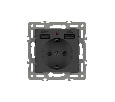 Механизм розетки с USB зарядкой SCT-MUAA-PL-BK (250V, 16A) (Arlight, -)