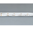 Лента CSP-X840-12mm 24V RGBW-Day (17.2 W/m, IP20, 5m)  (Arlight, 5 лет)