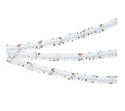 Лента CSP-X840-12mm 24V RGBW-White (17.2 W/m, IP20, 5m) (Arlight, 5 лет)