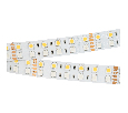 Лента RT-B144-19mm 24V RGBW-Day (32 W/m, IP20, 5m) (Arlight, -)